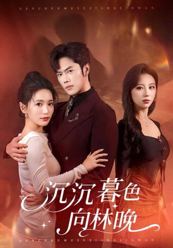 沉沉暮色向林晚